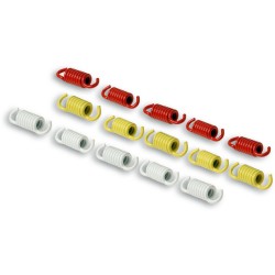 2913137 - SERIE MOLLE FRIZ. RACING MAXI SCOOTER | MALOSSI