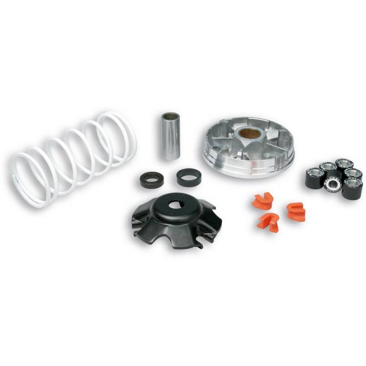 51 9019 Variatore MULTIVAR 2000 per scooter Piaggio 50 cc | MALOSSI