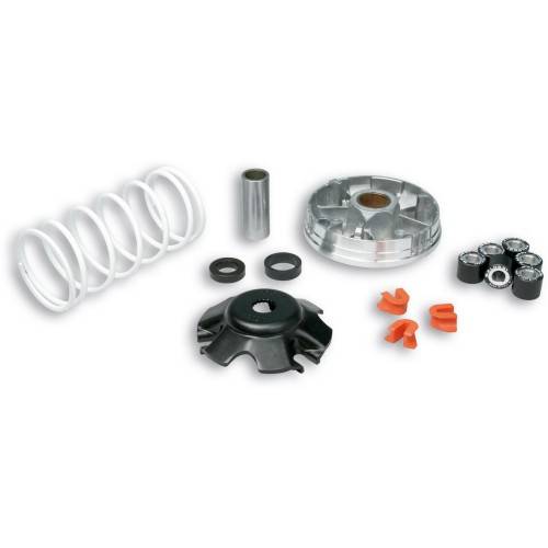 51 9019 Variatore MULTIVAR 2000 per scooter Piaggio 50 cc | MALOSSI