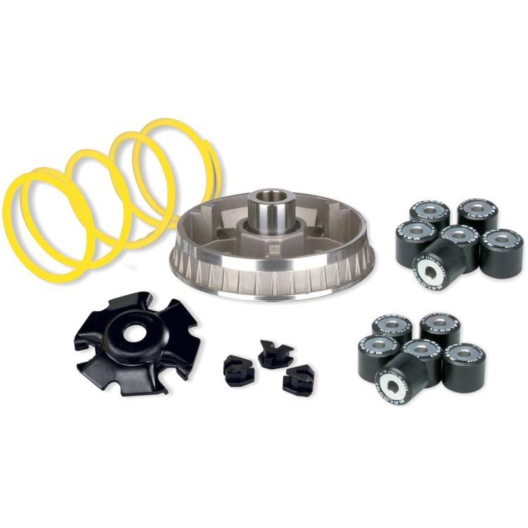 5111257 Variatore MULTIVAR 2000 | MALOSSI