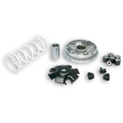 5111572 Variatore MULTIVAR 2000 | MALOSSI