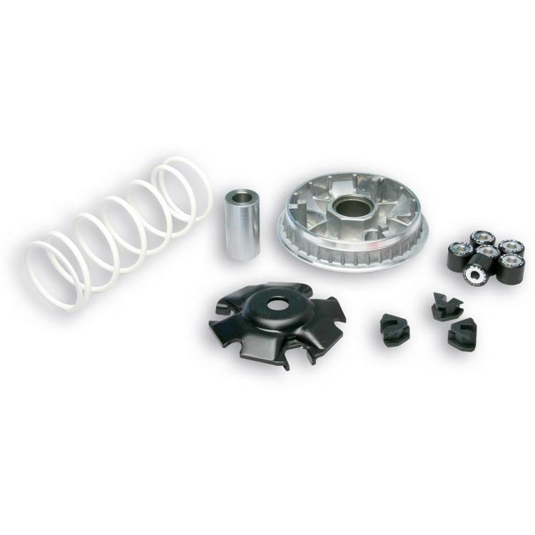 5111572 Variatore MULTIVAR 2000 | MALOSSI