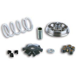 5113363 Variatore MULTIVAR per scooter - Atv - Quad | MALOSSI