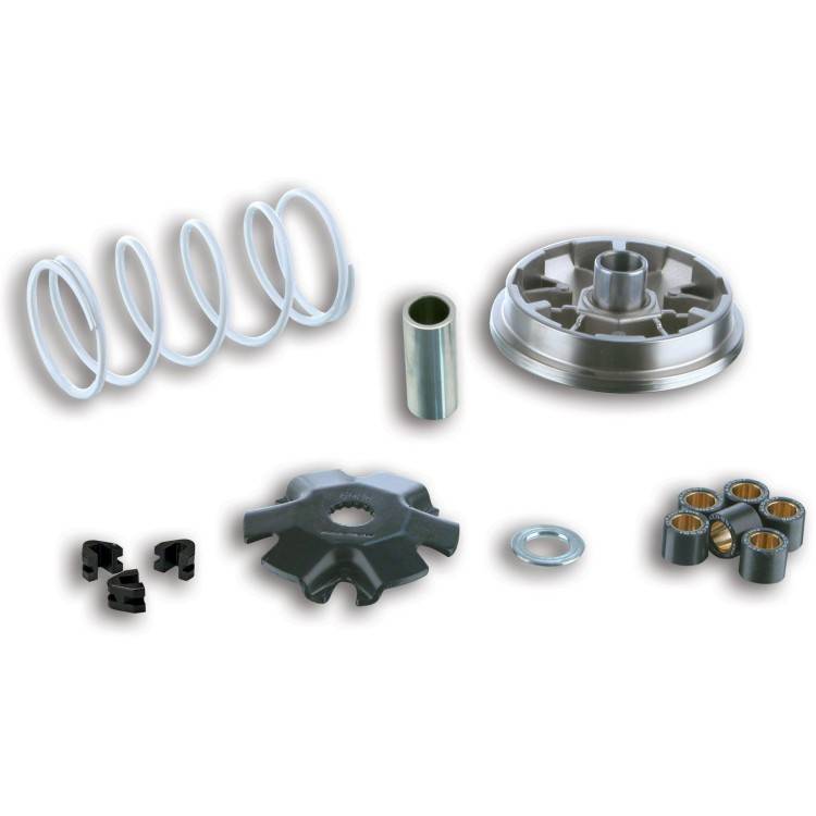 5113363 Variatore MULTIVAR per scooter - Atv - Quad | MALOSSI