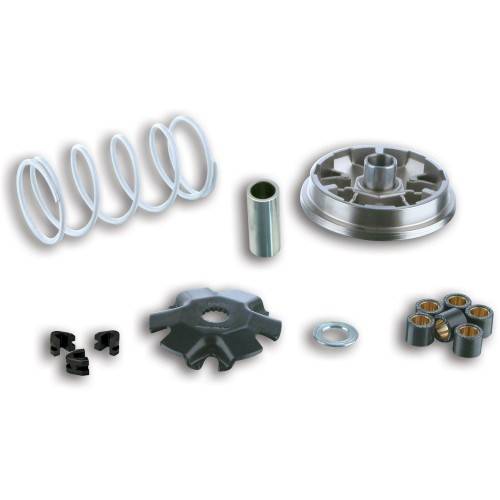 5113363 Variatore MULTIVAR per scooter - Atv - Quad | MALOSSI