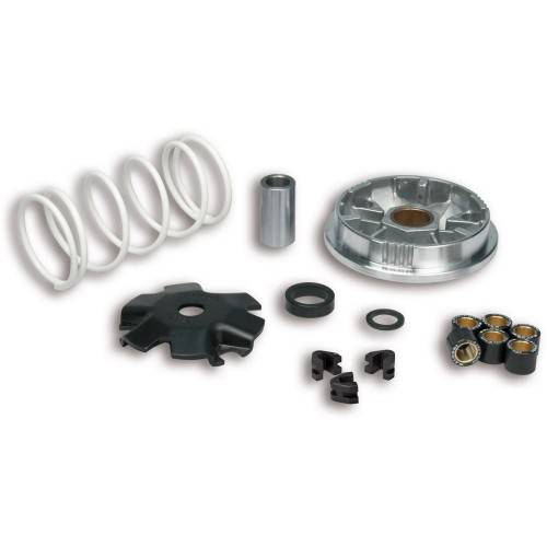 5113603 Variatore MULTIVAR 2000 per scooter 4T 50 cc | MALOSSI