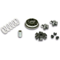 5114065 Variatore MULTIVAR 2000 MHR | MALOSSI