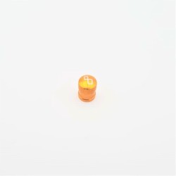 CAPPELLETTO VALVOLA RUOTA - VALORO | ORO | LIGHTECH