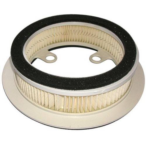 2644747 FILTRO ARIA DX CARTER T-MAX 500 (01/09) | SGR
