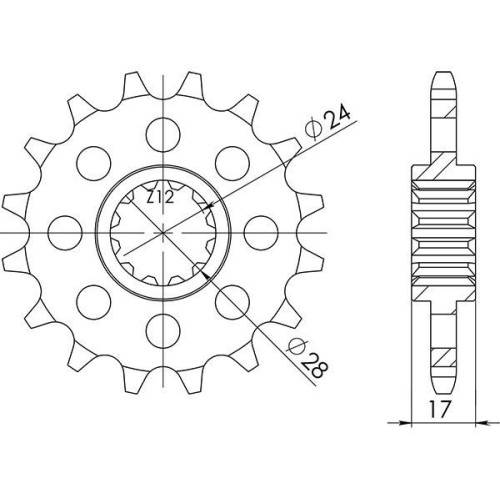 542051515 PIGNONE P525 - Z15 (DIS.20515) | SGR