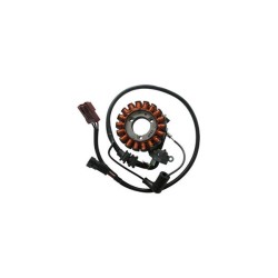 STATORE PIAGGIO 300 BEVERLY / CARNABY | SGR | 168003