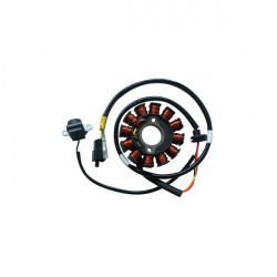 STATORE 12POLI AD.KYMCO PEOPLE S 125/200 | SGR | 163053