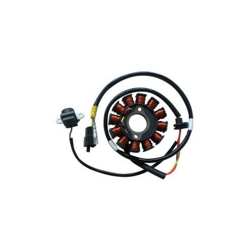 STATORE 12POLI AD.KYMCO PEOPLE S 125/200 | SGR | 163053