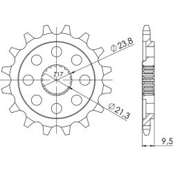 PIGNONE P520 - Z15 (DIS.20311) | SGR | 542031115