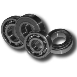 CUSCINETTO NTN 6005-25X47X12 | SGR | 41560050
