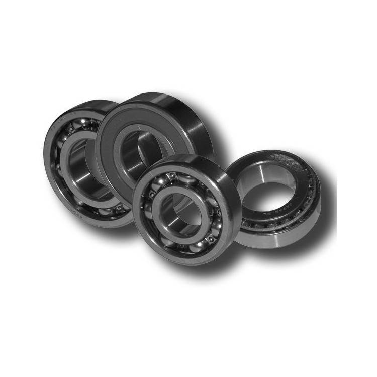 CUSCINETTO NTN 6005-25X47X12 | SGR | 41560050