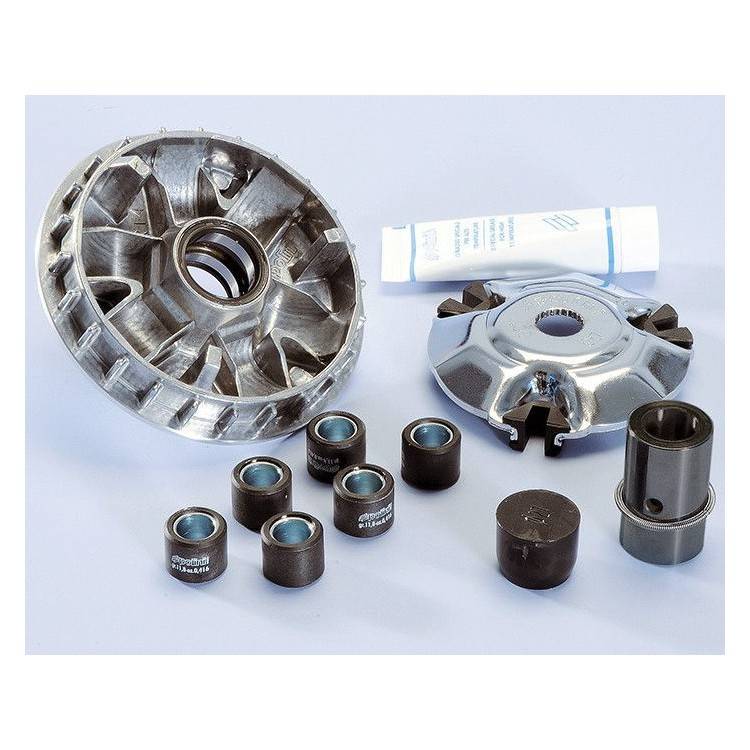241.645 VARIATORE HI-SPEED PIAGGIO X8 250 | POLINI