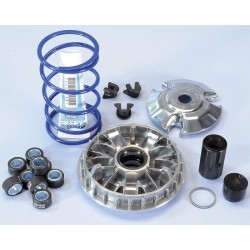 241.665 VARIATORE HI-SPEED PIAGGIO 200/250/300 9 RULLI | POLINI
