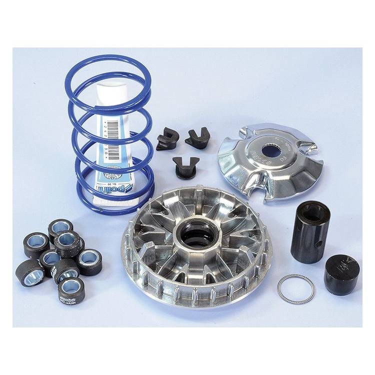 241.665 VARIATORE HI-SPEED PIAGGIO 200/250/300 9 RULLI | POLINI