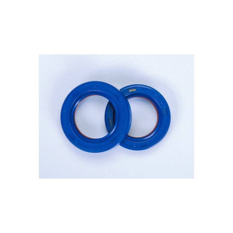 285.0001 SERIE PARAOLI PTFE/FKM ALBERO MOTORE PIAGGIO-GILERA | POLINI