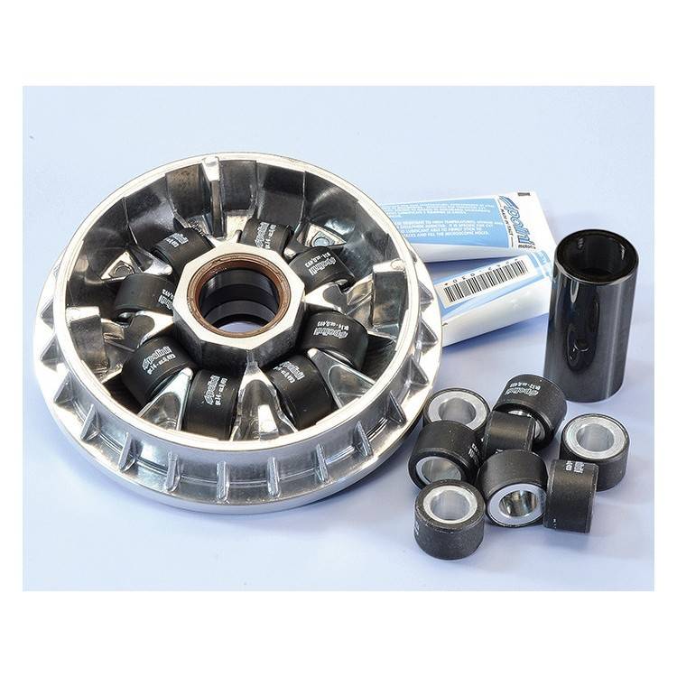 241.636 VARIATORE HI-SPE.PIAGGIO/GILERA 500 8 RULLI dal 2004- | POLINI
