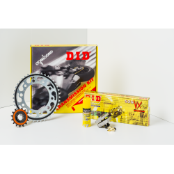KIT PROFESSIONALE K T M 250 EXC SX | OGNIBENE | MPN 373917000