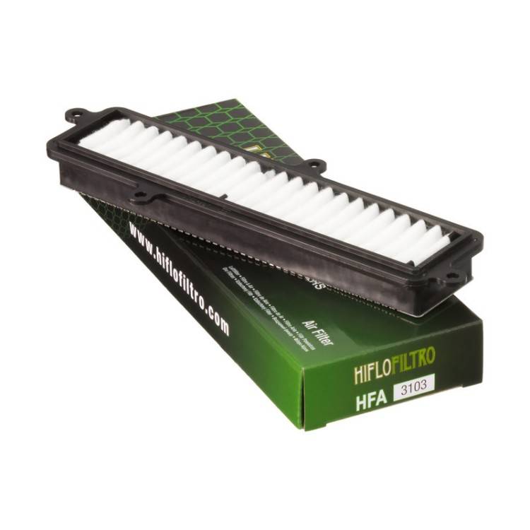 HFA3103 FILTRO ARIA SUZUKI BURGMAN 125 - 200 07 - HFA3103 | HIFLO FILTRO |  E1731030