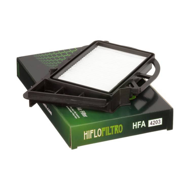 E1742030 HFA4203 FILTRO ARIA VARIATORE YAMAHA X - MAX 250, X - CITY 05 - | HIFLO FILTRO |