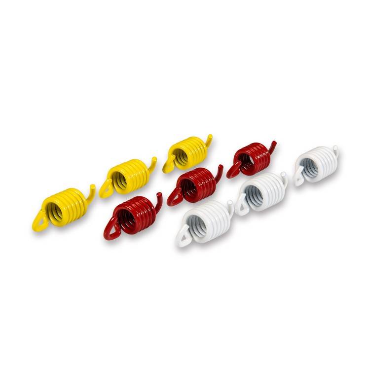 2911848 SERIE MOLLE FRIZIONE RACING PER MAXI SCOOTER | MALOSSI