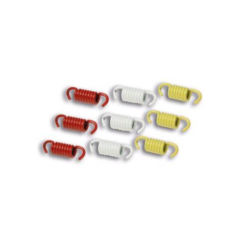 2911326 SERIE MOLLE RACING PER FRIZIONE MAXI SCOOTER | MALOSSI