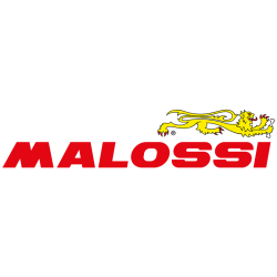 34 6172 PISTONE DIAM. 47 SP.DIAM. 10 SEG.2 RETT. 0 | MALOSSI