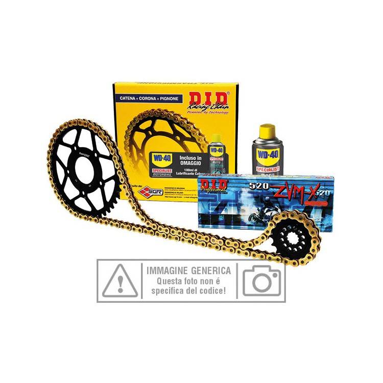 101456 KIT TRASMISSIONE S-AC 17-42-118 DID520VX3 (G&B) R | SGR