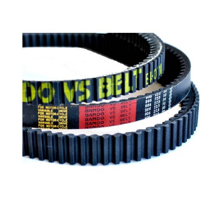 273758 CINGHIA BANDO SYM MIO 100-EURO 3 | SGR