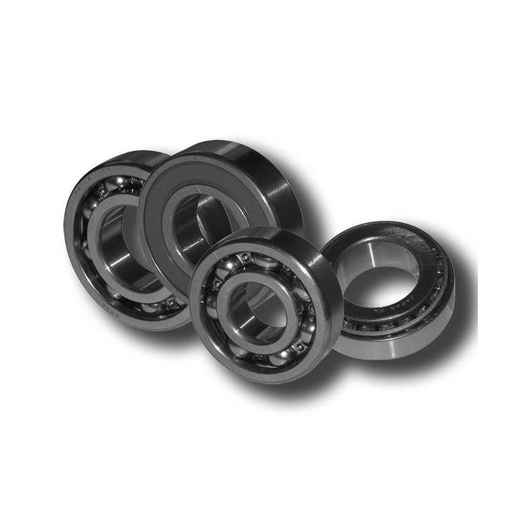 CUSCINETTO NTN SC04B19CS30PX1-20X56X12 | SGR | 4150419