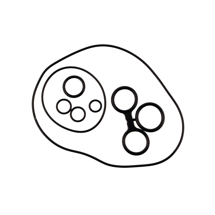 100709030 KIT O-RINGS RMS CLASSIC PIAGGIO VESPA PX | RMS