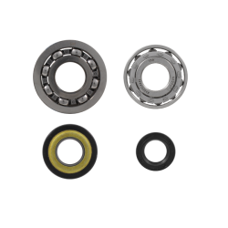 100200760 KIT REVISIONE ALBERO MOTORE RMS CLASSIC PIAGGIO VESPA ET3 PR | RMS