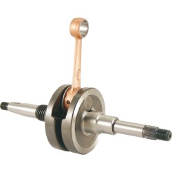 100010340 ALBERO MOTORE RMS KYMCO DINK PEOPLE 50CC | RMS