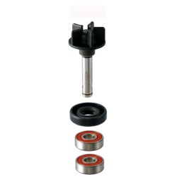 100110150 KIT REVISIONE POMPA ACQUA RMS SUZUKI KATANA 50CC 1 SERIE 199 | RMS