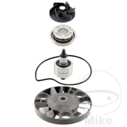 100110230 KIT REVISIONE POMPA ACQUA RMS PIAGGIO BEVERLY RST 125CC 2006 | RMS