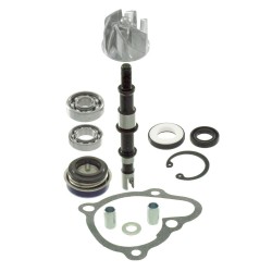 100110460 KIT REVISIONE POMPA ACQUA RMS KYMCO X-CITING 250-300CC | RMS