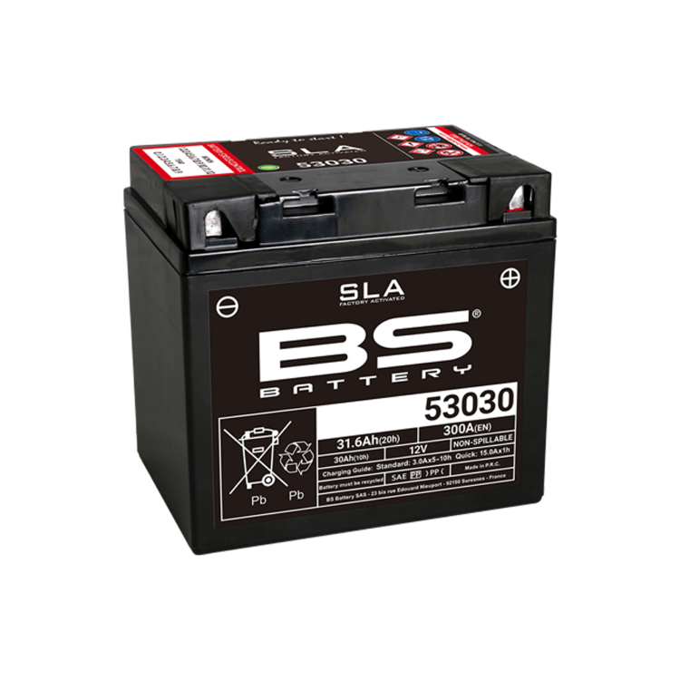 246650545 BATTERIA BS SLA 53030 | BS-BATTERY