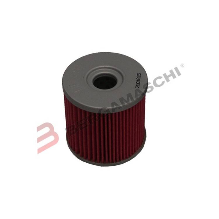 FILTRO OLIO HYOSUNG COMET 650 | Hiflo Filtro | Bergamaschi E1768100