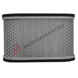 FILTRO ARIA YAMAHA YZF 1000 R1 98-01 | Hiflo Filtro | Bergamaschi E1749070