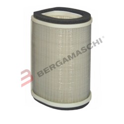 FILTRO ARIA YAMAHA FJR1300 01- | Hiflo Filtro | Bergamaschi E1749120