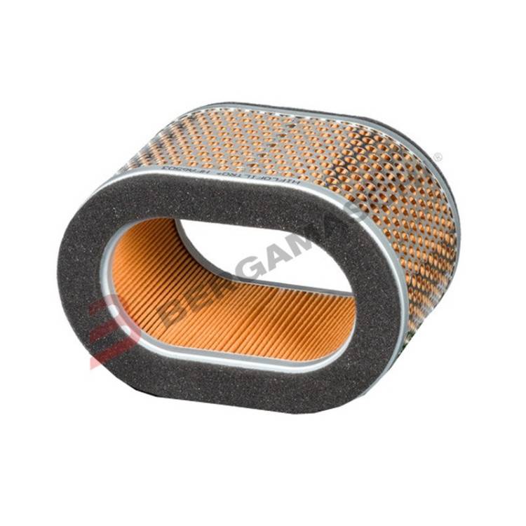 FILTRO ARIA TRIUMPH 955 SPEED TRIPLE 02-04, DAYTONA 02-0 | Hiflo Filtro | Bergamaschi E1765030