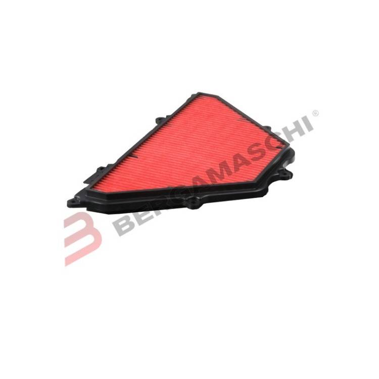 FILTRO ARIA HONDA X-ADV 750 17 -18 | Hiflo Filtro | Bergamaschi E1717160