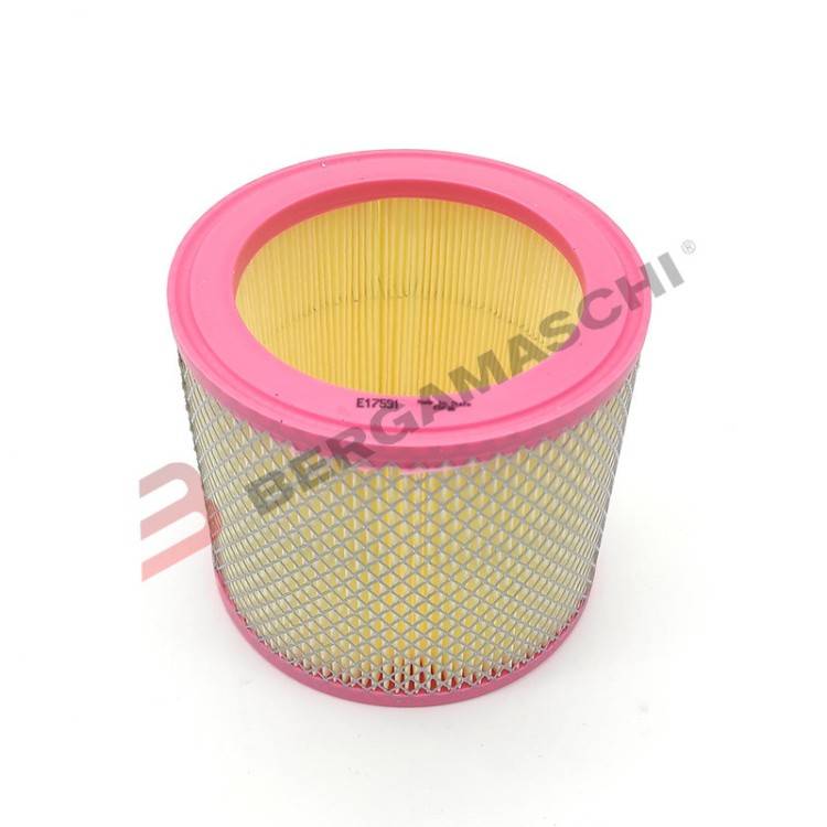 FILTRO ARIA APRILIA RSV 1000 01-03-TUONO 02-05- MOTO GUZ | Hiflo Filtro | Bergamaschi E17591