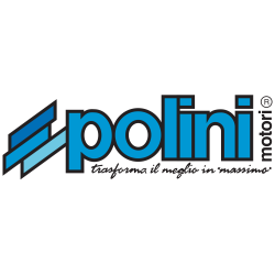 206.0050 SEGMENTO D.46X1,5 | POLINI