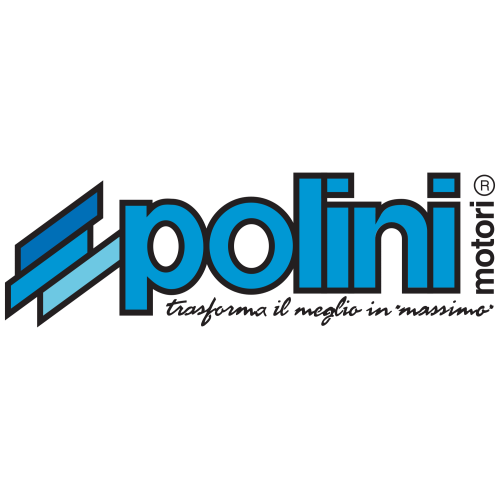 206.0050 SEGMENTO D.46X1,5 | POLINI