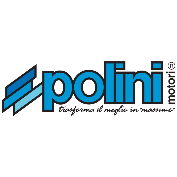 245.085 SET MOLLE FRIZIONE SPEED CLUTCH 3G | POLINI